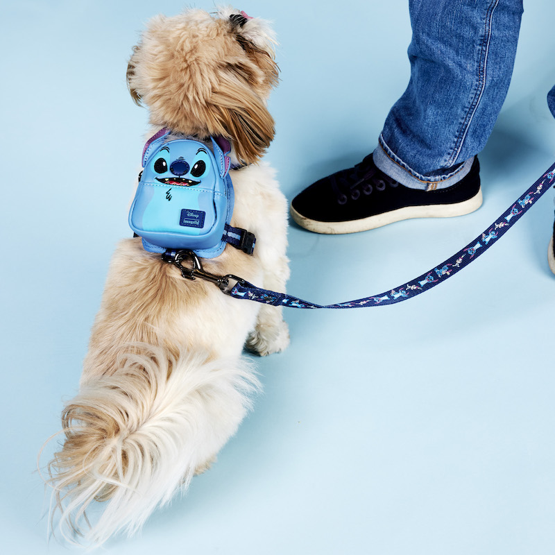 White and brown dog wearing the Stitch mini backpack harness with the Stitch leash attached. The dog sits at its owners feet against a blue background. 